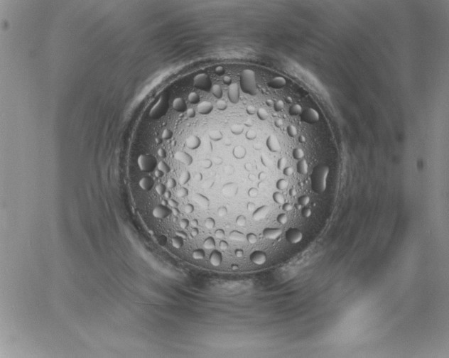 X0000060770155200511241802