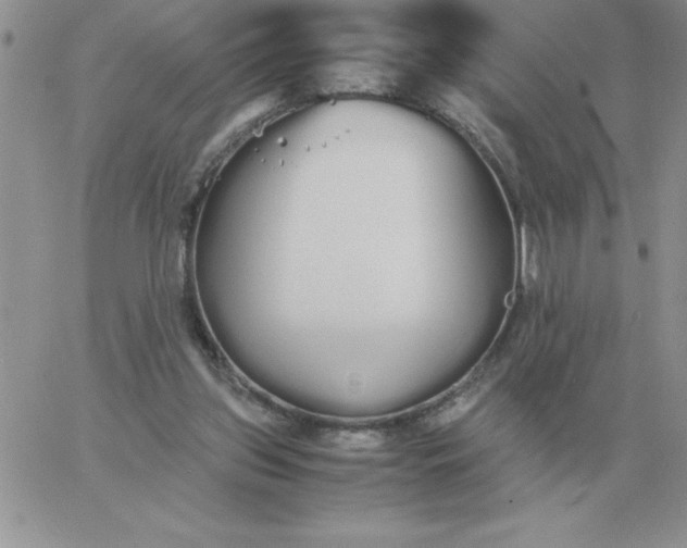 X0000060770157200511241802