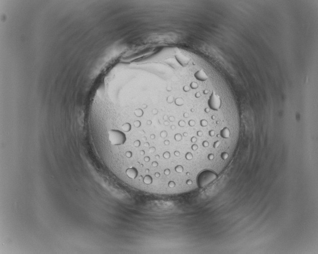 X0000060770159200511241802