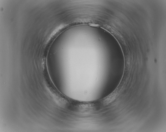 X0000060770160200511241802