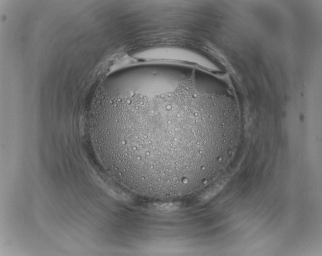 X0000060770161200511241802