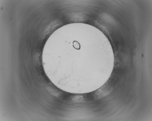 X0000060770162200511241802