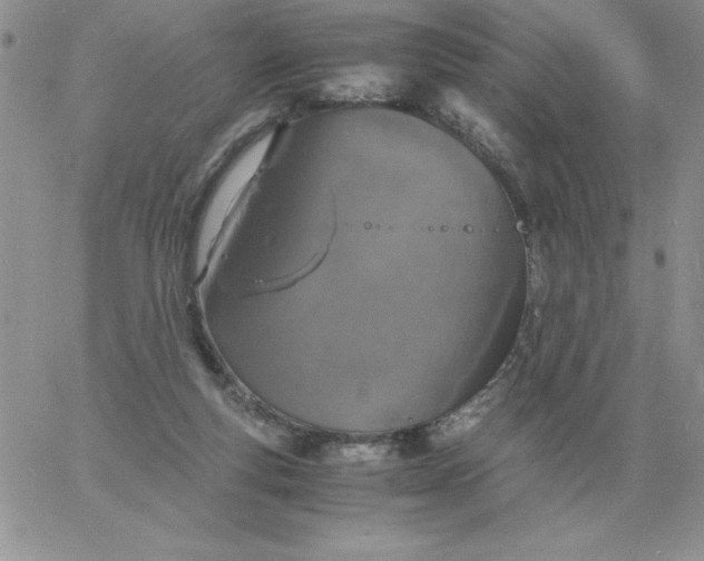 X0000060770163200511241802