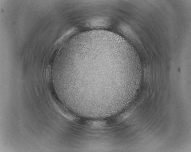 X0000060770165200511241802