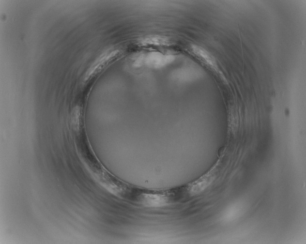 X0000060770167200511241802