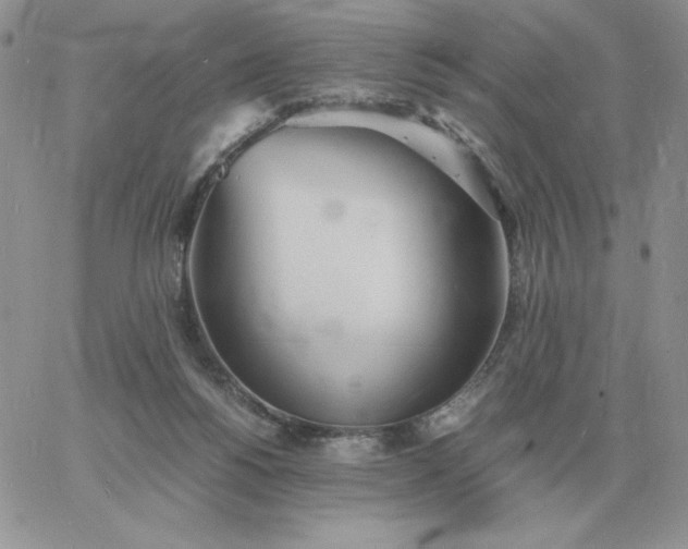 X0000060770168200511241802