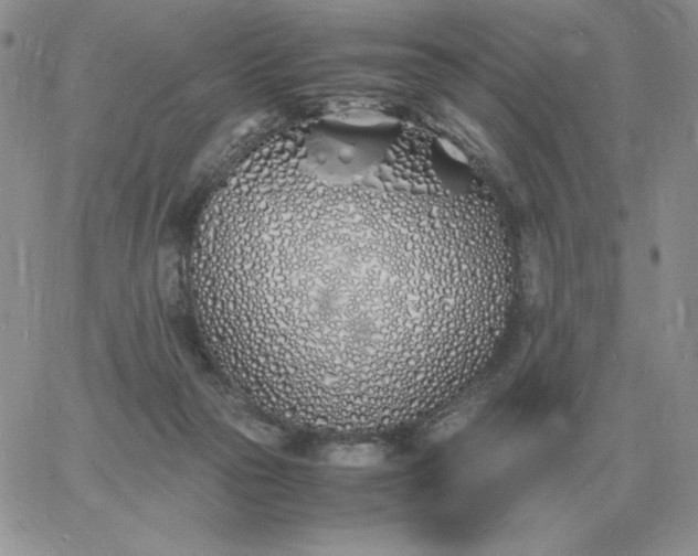 X0000060770169200511241802