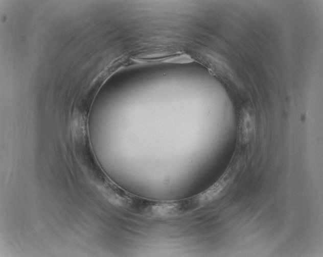 X0000060770172200511241803