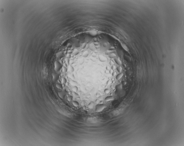 X0000060770173200511241803