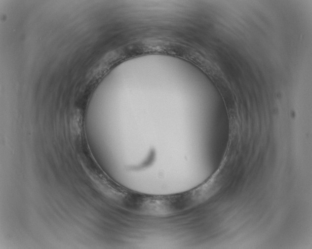 X0000060770174200511241803