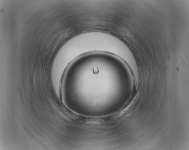 X0000060770175200511241803