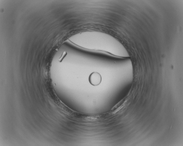 X0000060770176200511241803