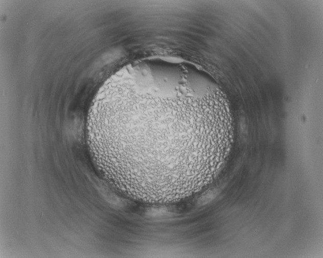 X0000060770177200511241803