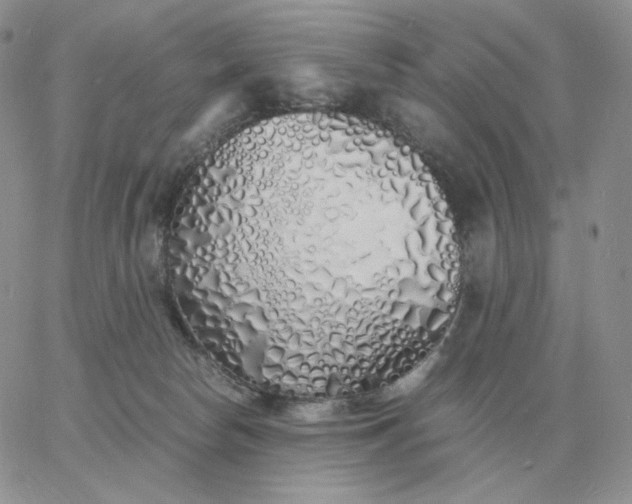 X0000060770178200511241803