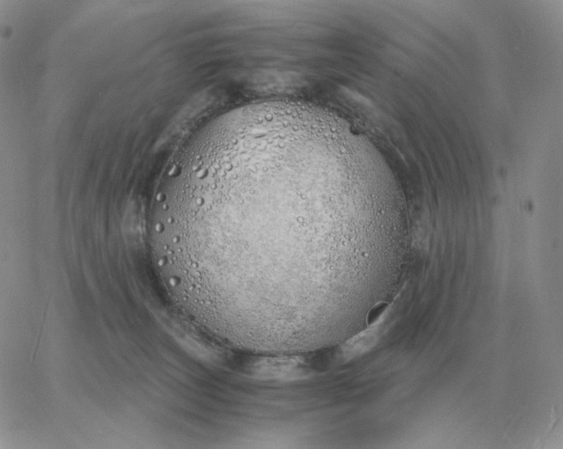 X0000060770179200511241803