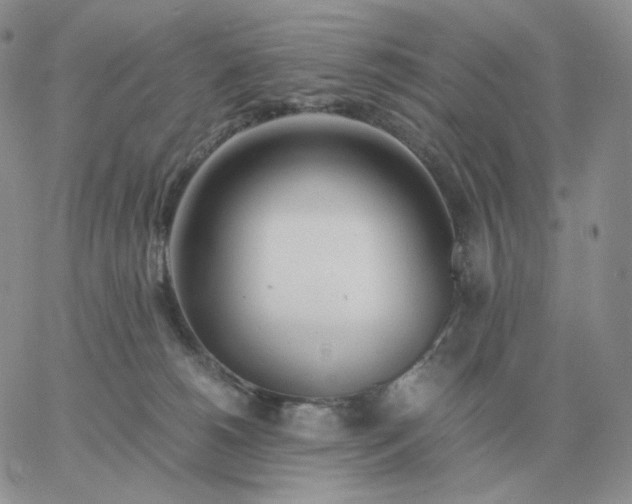 X0000060770180200511241803