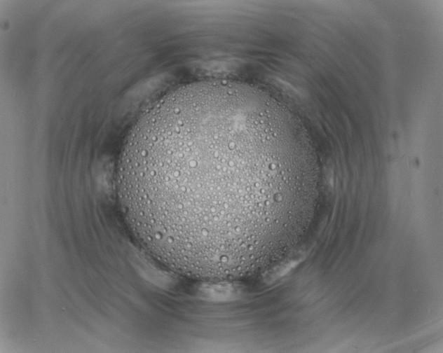 X0000060770181200511241803