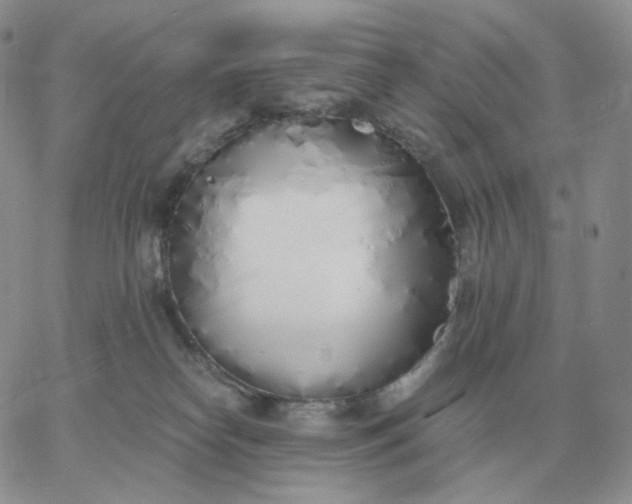 X0000060770182200511241803