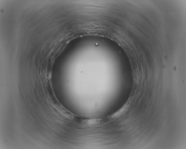 X0000060770184200511241803