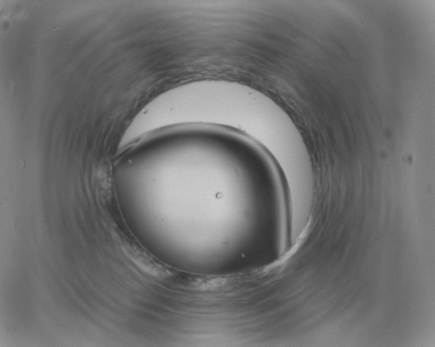 X0000060770186200511241803