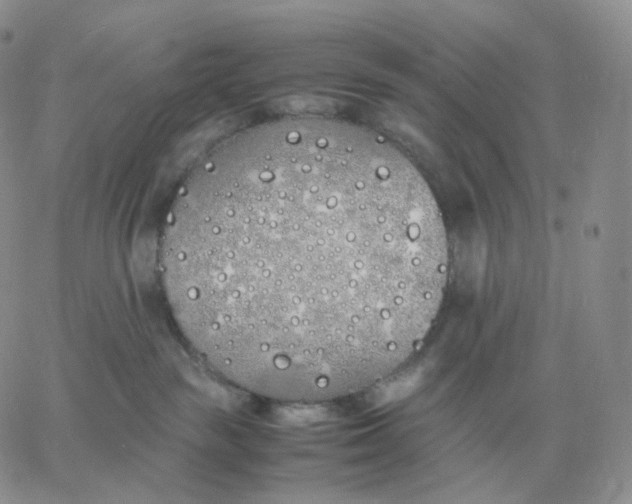 X0000060770189200511241803