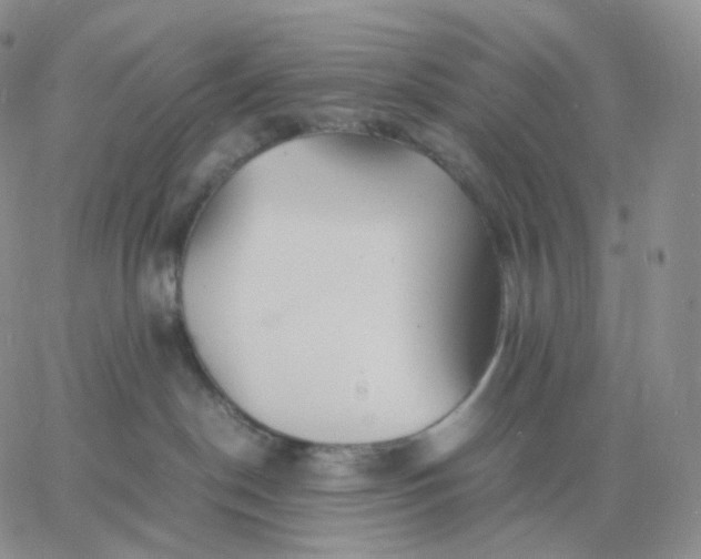 X0000060770190200511241803