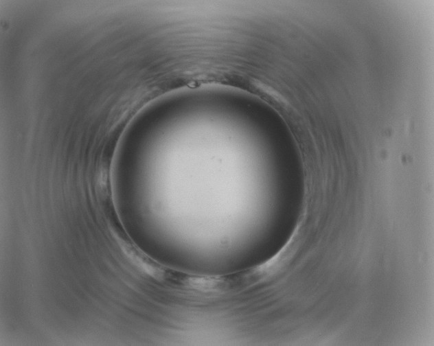 X0000060770192200511241803