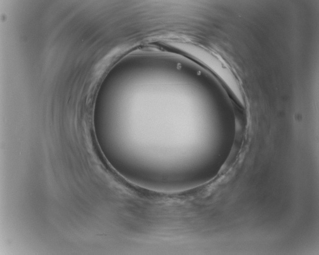 X0000060770193200511241802