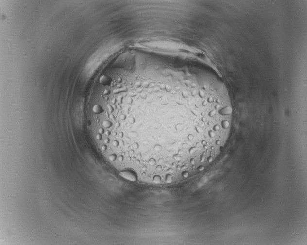 X0000060770194200511241802