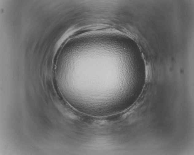 X0000060770195200511241802