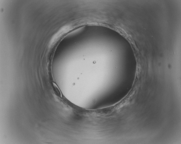 X0000060770197200511241802