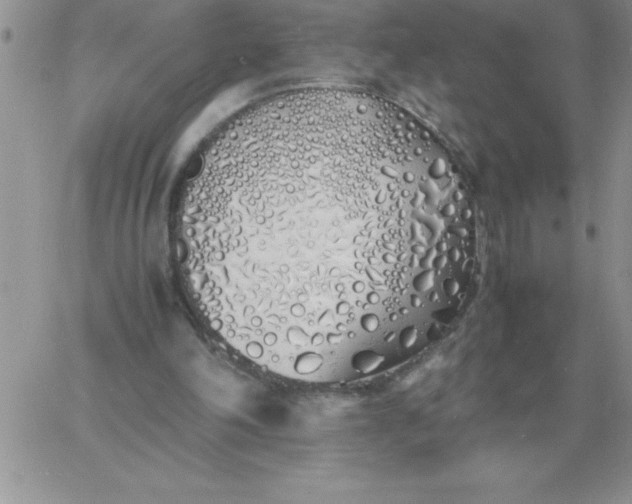 X0000060770198200511241802