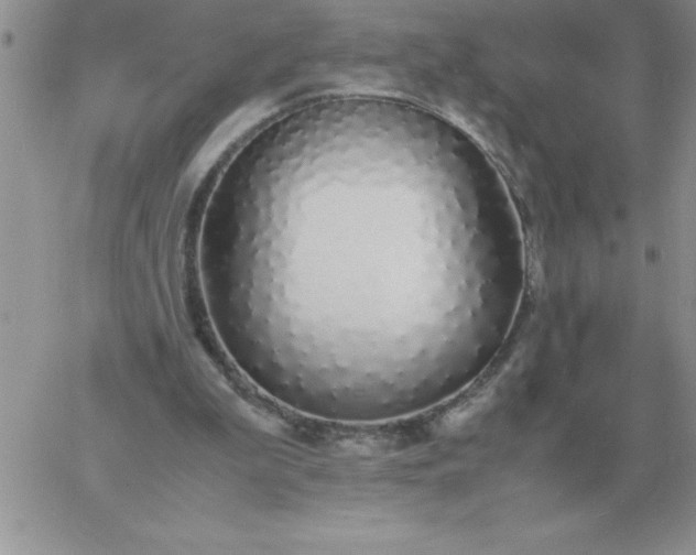 X0000060770199200511241802