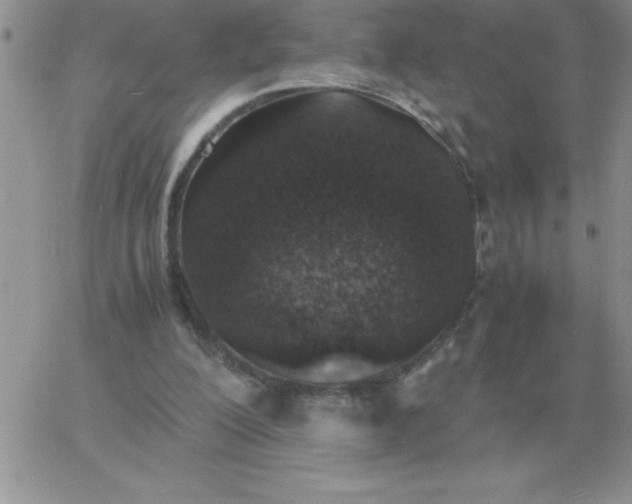 X0000060770200200511241802