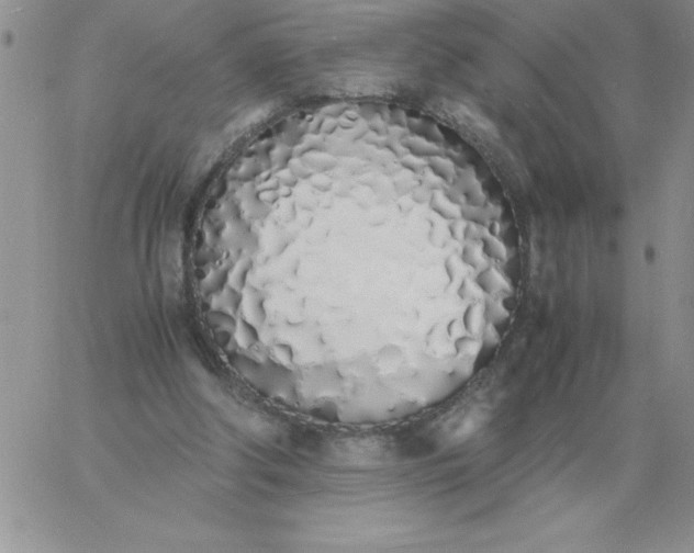 X0000060770202200511241802