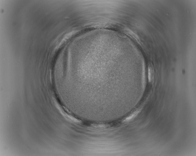 X0000060770205200511241802