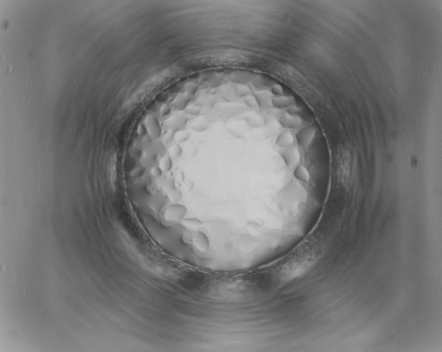 X0000060770206200511241802