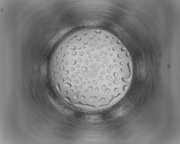 X0000060770208200511241802