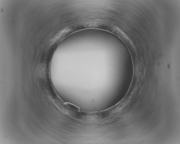 X0000060770209200511241802