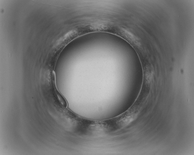 X0000060770211200511241802