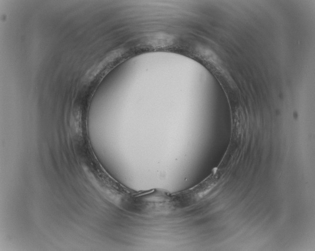 X0000060770212200511241802