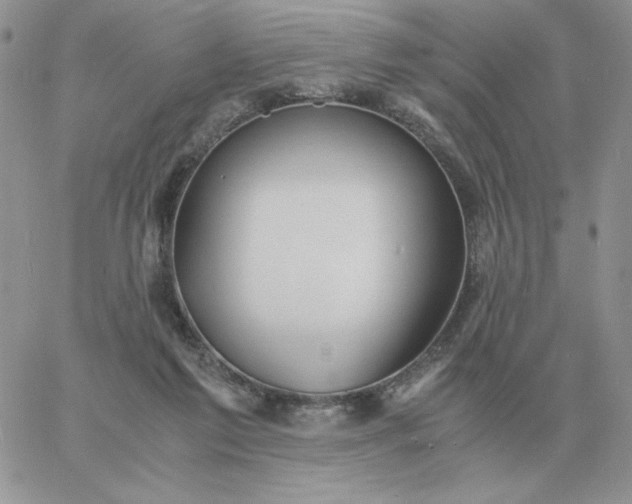 X0000060770213200511241802