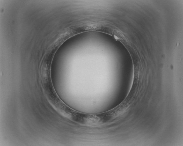 X0000060770215200511241802