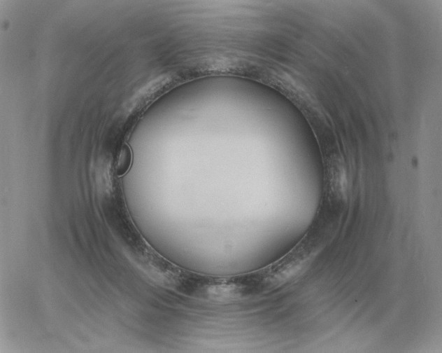 X0000060770216200511241802