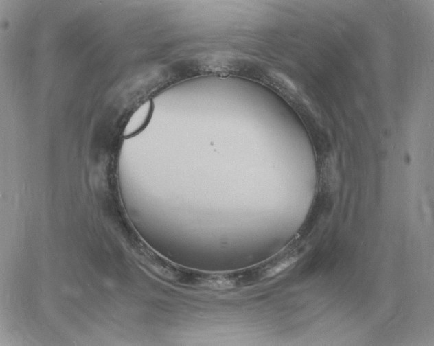 X0000060770217200511241802