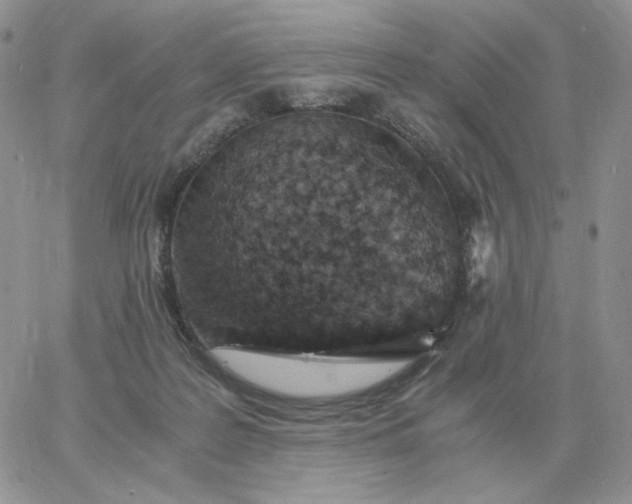 X0000060770219200511241802