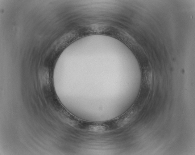 X0000060770220200511241802