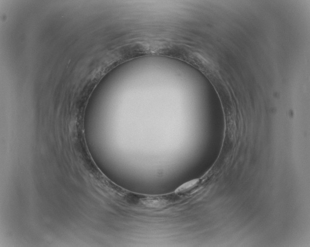 X0000060770221200511241802