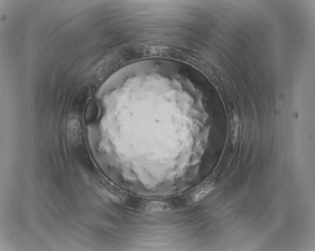 X0000060770222200511241802