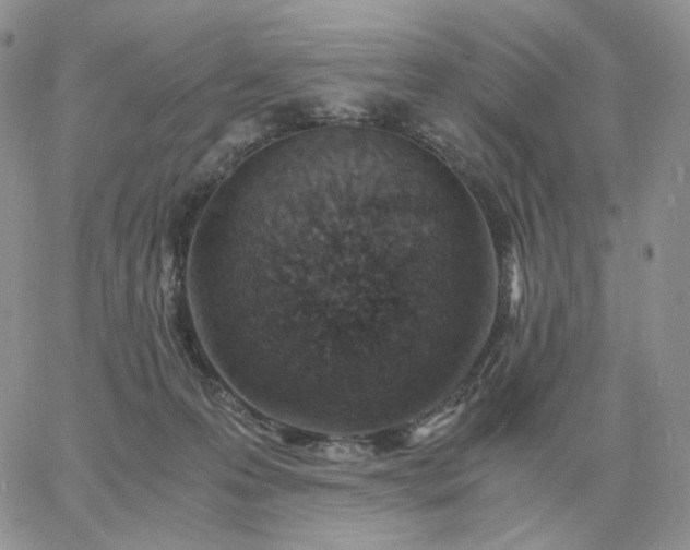 X0000060770223200511241802